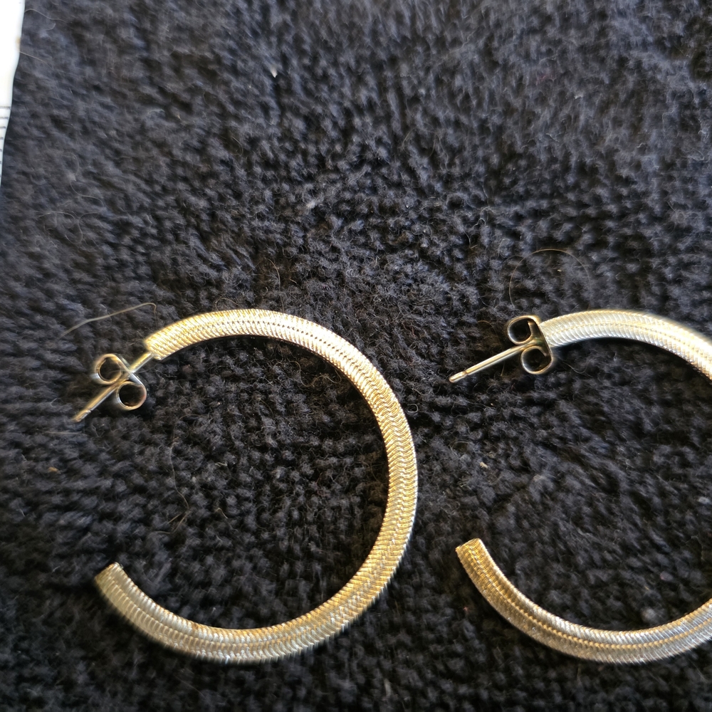 Elegant Silver Hoop Earrings